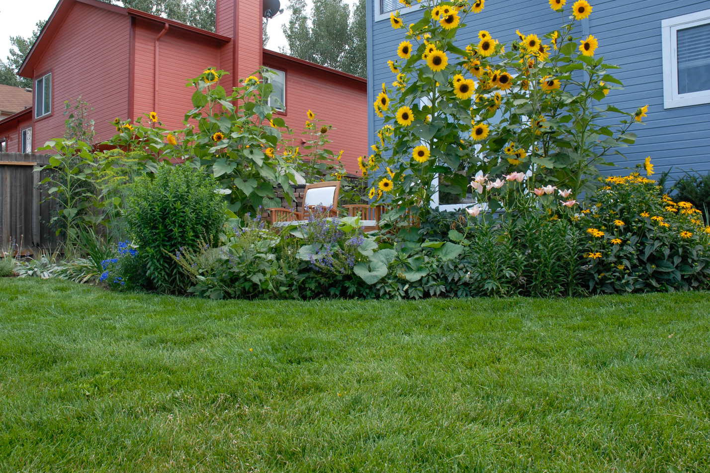 Terraced Turf Backyard
